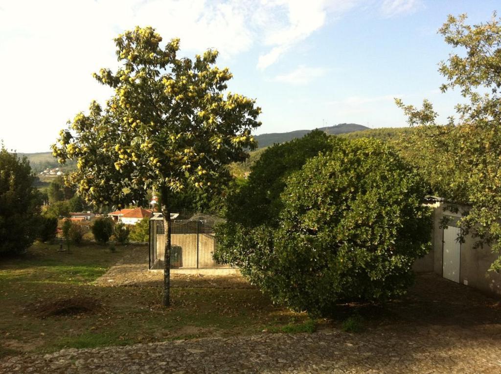 הוילה פארדס דה קורה Casa Boavista מראה חיצוני תמונה