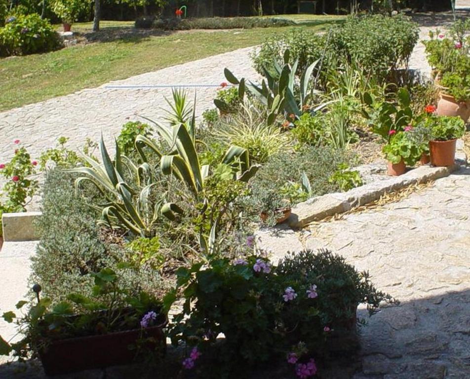 הוילה פארדס דה קורה Casa Boavista מראה חיצוני תמונה