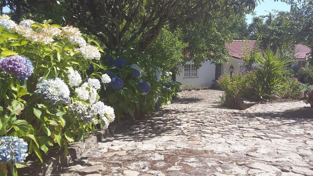 הוילה פארדס דה קורה Casa Boavista מראה חיצוני תמונה
